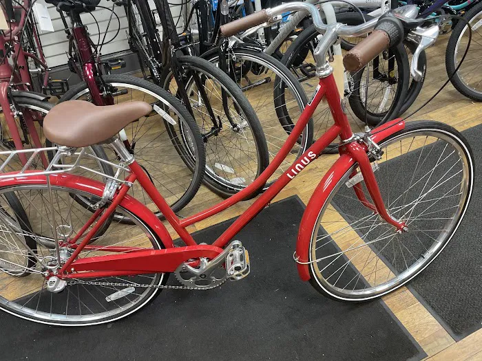 Ride Brooklyn Picture 4