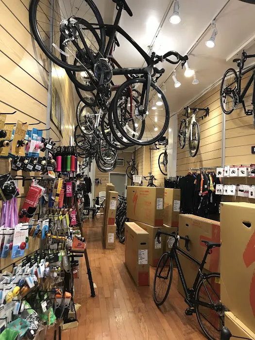 Bicycle Habitat Picture 4