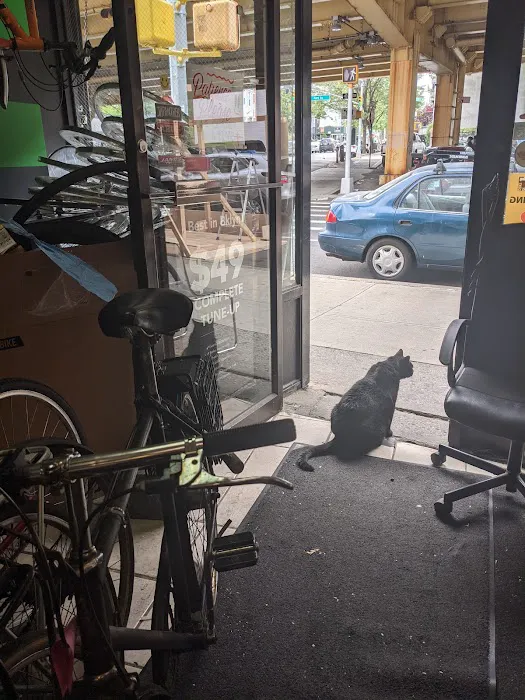 Bicycle Station Picture 1