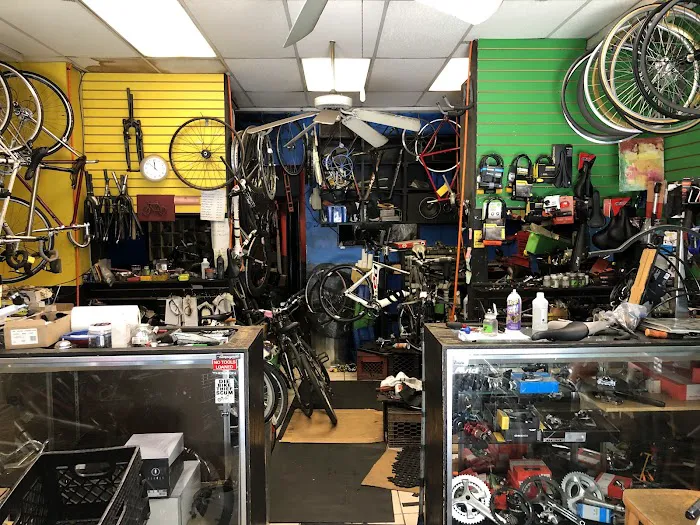 Bicycle Station Picture 6