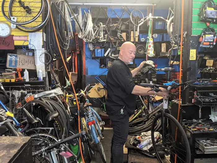 Bicycle Station Picture 4