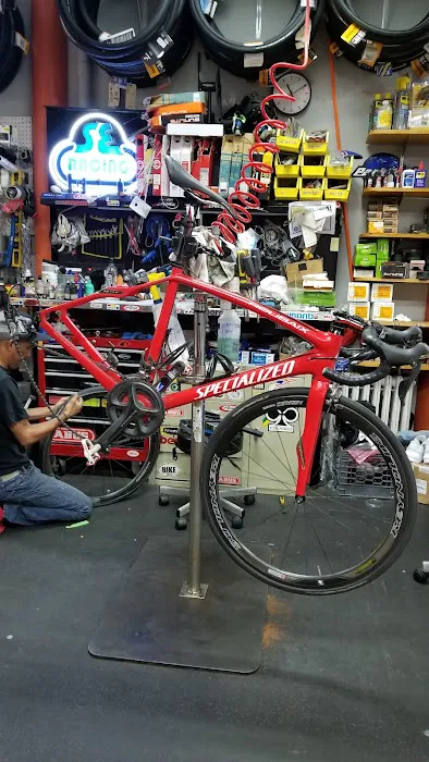 Echelon Cycles Picture 2