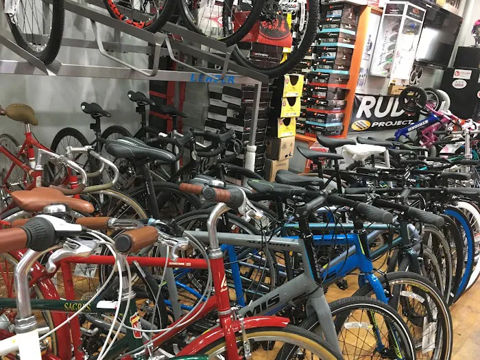 Echelon Cycles Picture 8