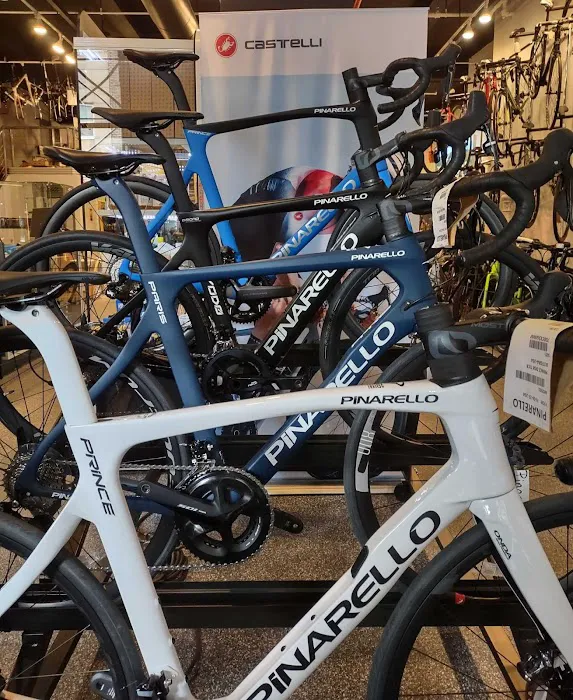 Echelon Cycles Picture 5
