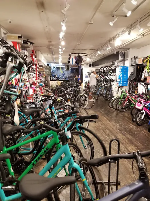 Bicycle Habitat Picture 4