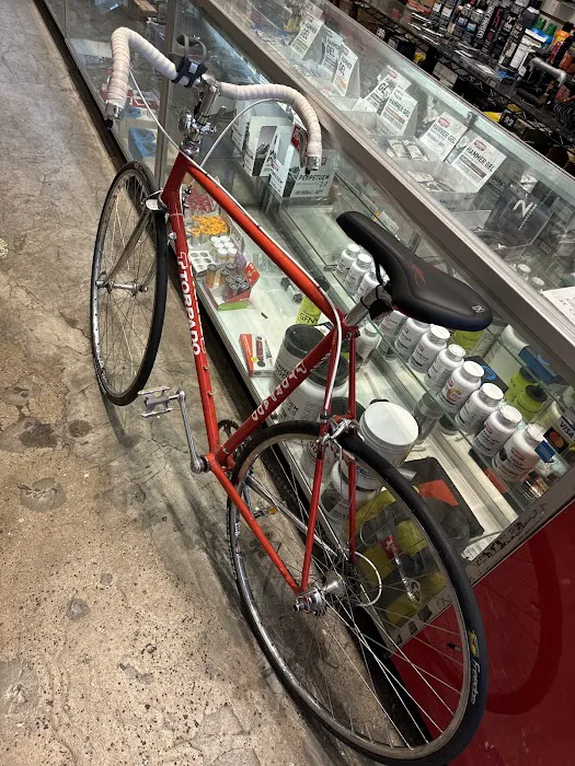 City Bicycles NYC Picture 2