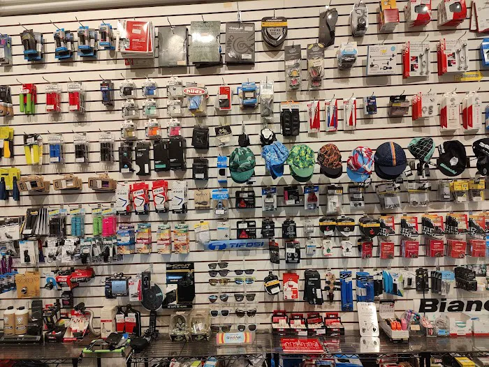 City Bicycles NYC Picture 4