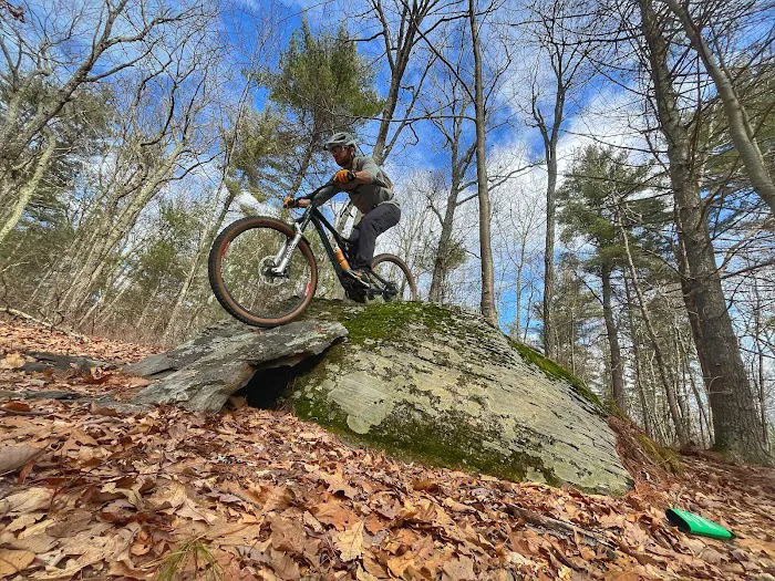 NeverLost Adventures Bicycle Shop Picture 9