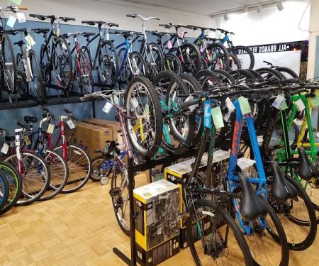 Wyckoff Cycle llc