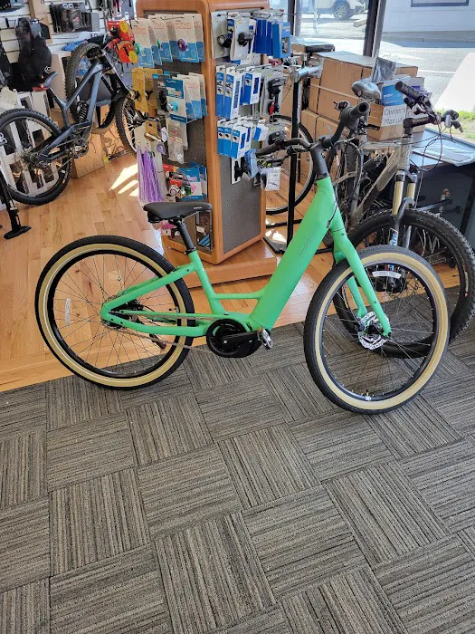 Wyckoff Cycle llc Picture 5