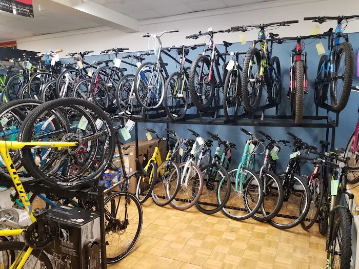 Wyckoff Cycle llc Picture 6