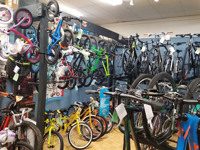 Wyckoff Cycle llc Picture 9