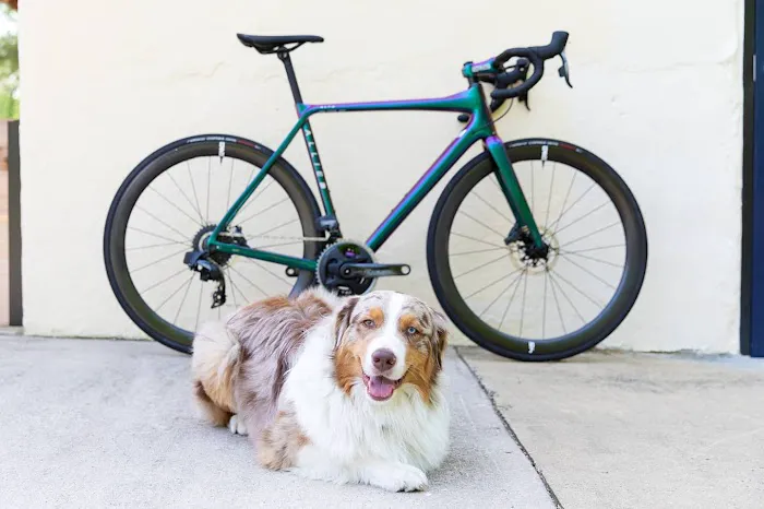 Clubhaus X The Cyclery | By Appointment Picture 9