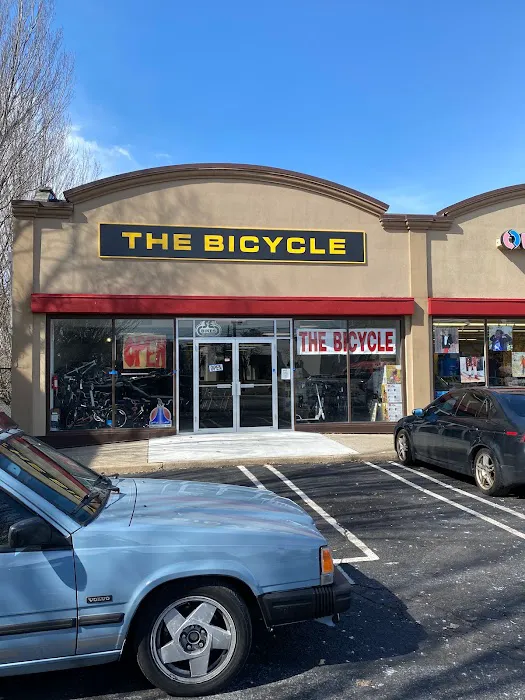 The Bicycle Picture 2