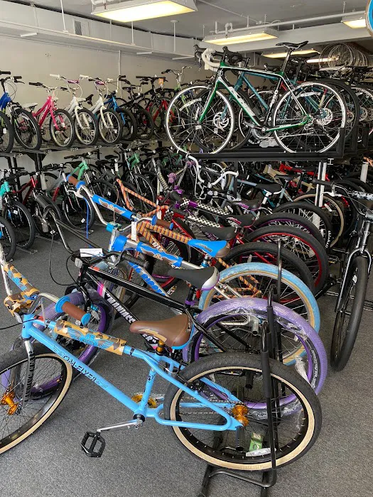 The Bicycle Picture 6