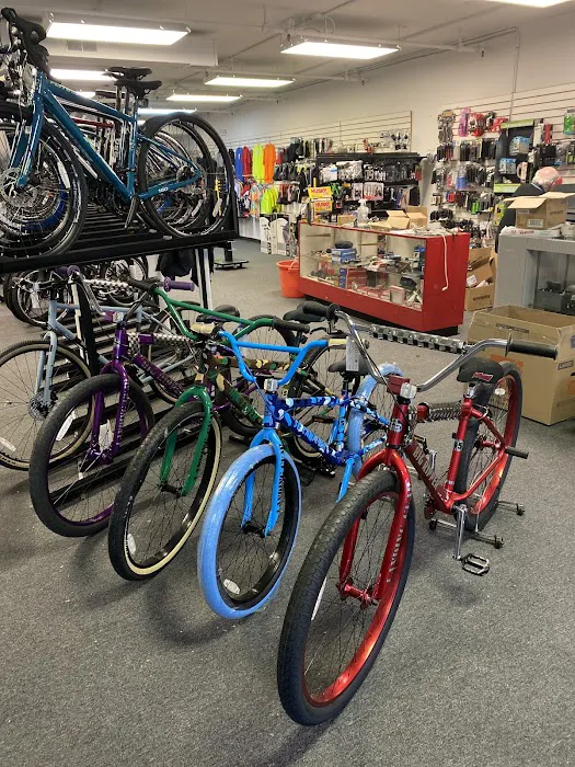 The Bicycle Picture 7