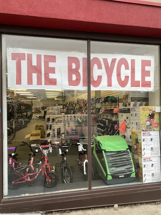 The Bicycle Picture 4