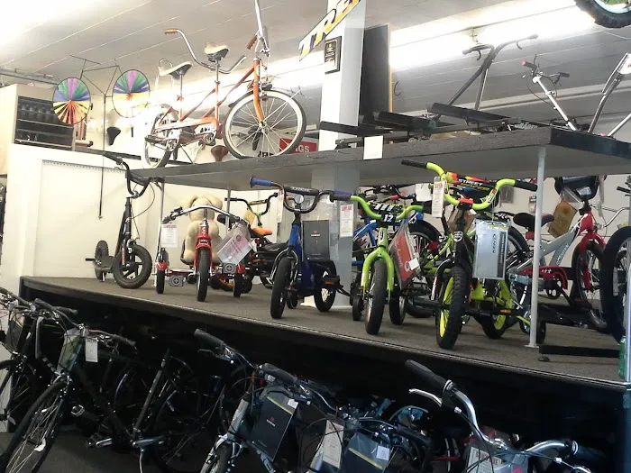 Elmwood Bicycles Picture 6