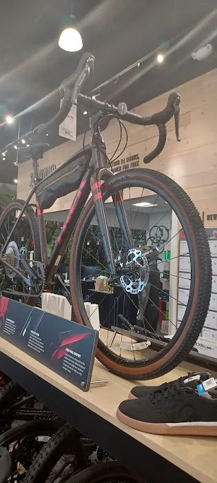 Trek Bicycle Paramus Picture 1