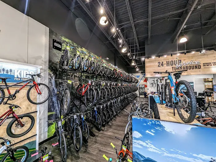 Trek Bicycle Paramus Picture 2