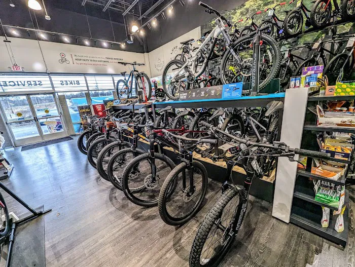 Trek Bicycle Paramus Picture 5