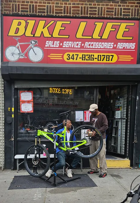 Bike Life PLG Picture 3