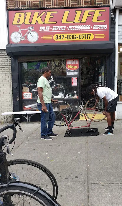 Bike Life PLG Picture 2