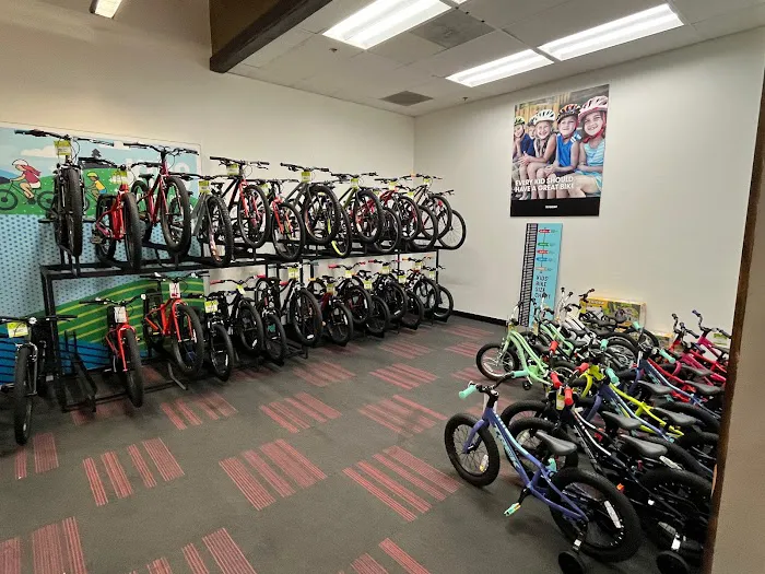 Trek Bicycle Columbia Maryland Picture 10