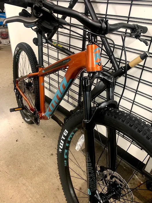 Just Riding Along Bicycle Shop Picture 1
