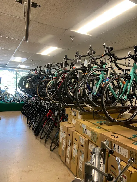 Just Riding Along Bicycle Shop Picture 2