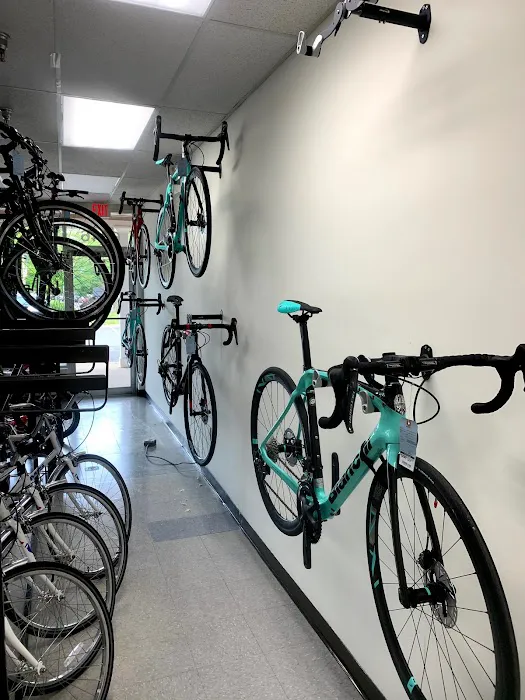 Just Riding Along Bicycle Shop Picture 8