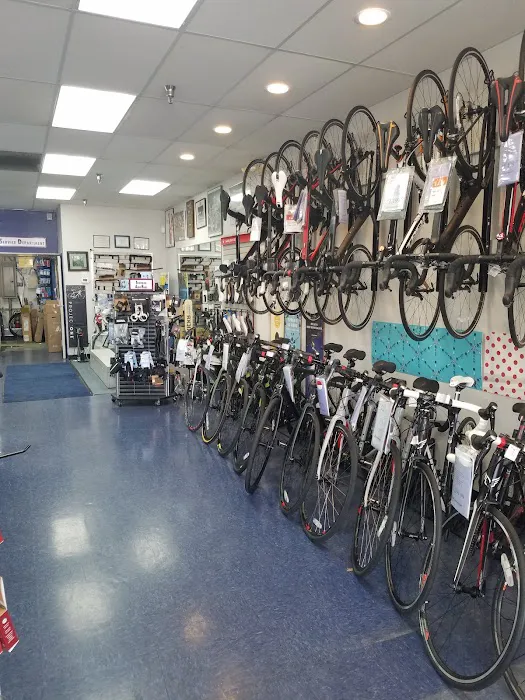 All American Bicycle Center Picture 2