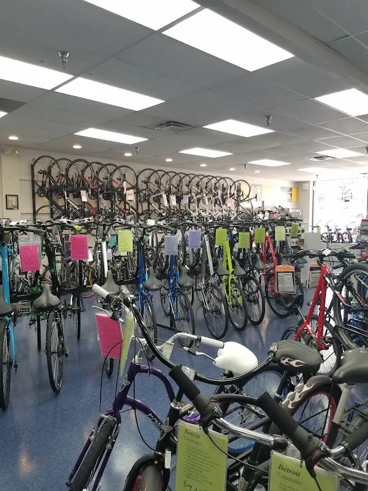All American Bicycle Center Picture 6