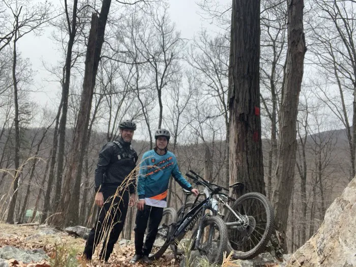 Blue Ridge Bicycles of Frederick Picture 8