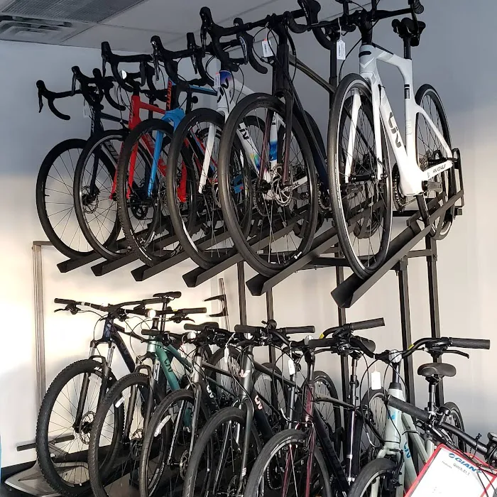 Bike Center LTD Picture 5