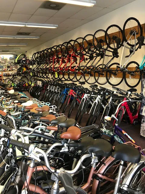 Bicycle Connection Bethany Beach Picture 3