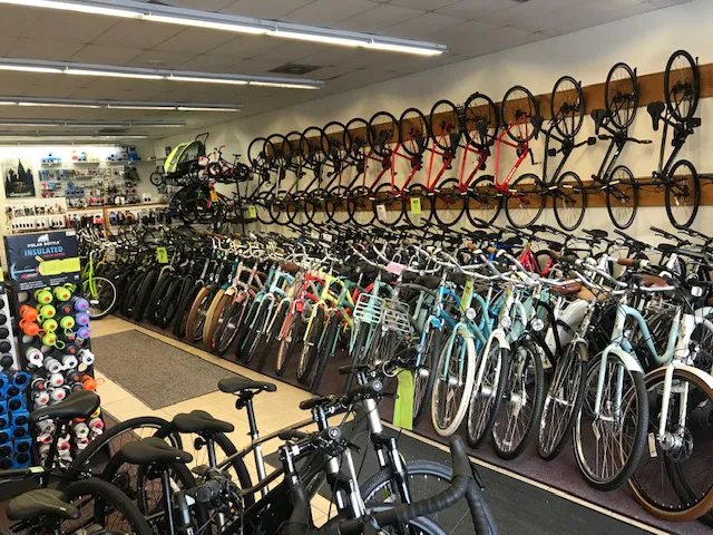 Bicycle Connection Bethany Beach Picture 5