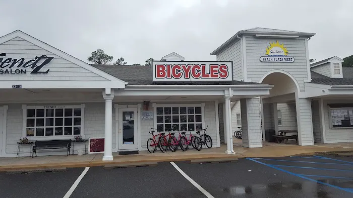 OCEAN CYCLES Picture 1