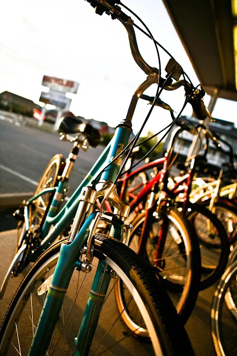 Fenwick Islander Bicycle Shoppe Picture 1