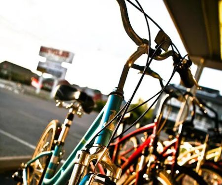Fenwick Islander Bicycle Shoppe