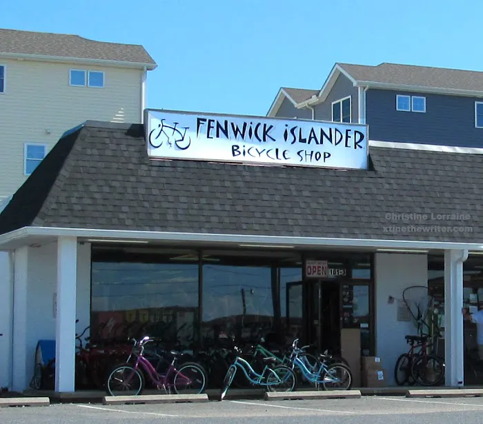 Fenwick Islander Bicycle Shoppe Picture 5