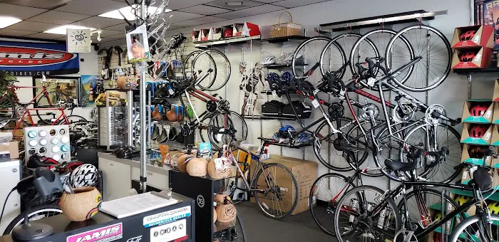 Fenwick Islander Bicycle Shoppe Picture 8