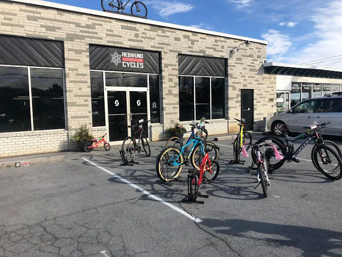 Rebound Adventure Cycles Picture 3