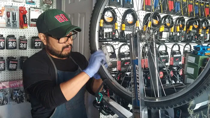 El Frondoso Bicycle Shop Picture 5