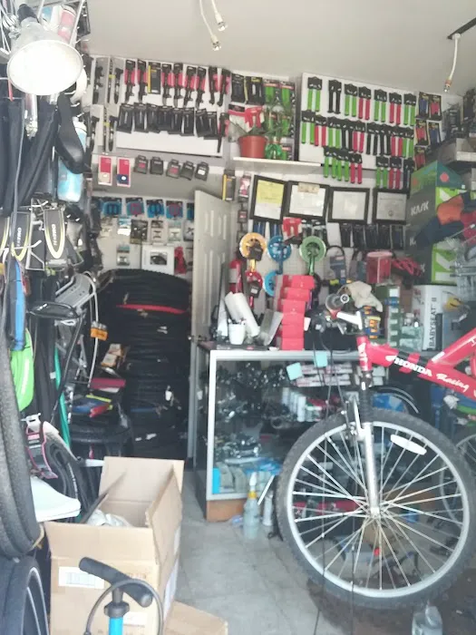 El Frondoso Bicycle Shop Picture 8