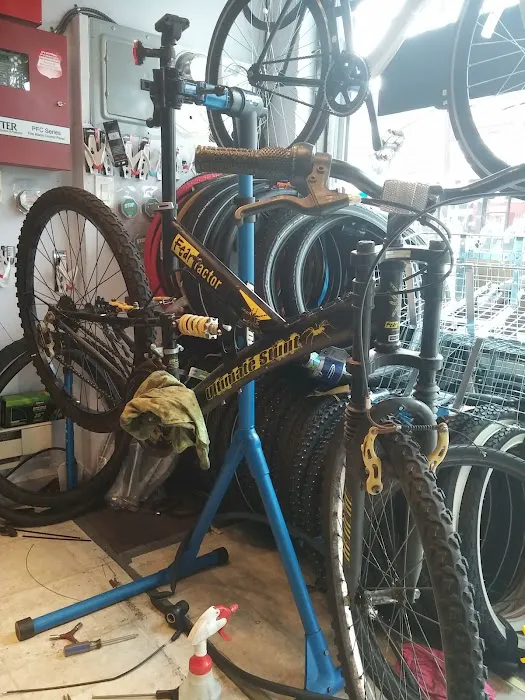 El Frondoso Bicycle Shop Picture 6