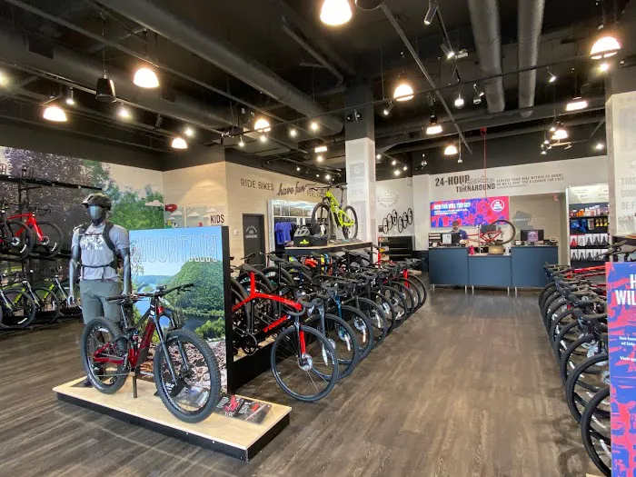 Trek Bicycle Edgewater Picture 5