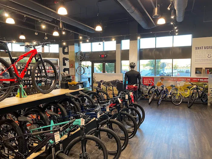 Trek Bicycle Edgewater Picture 3
