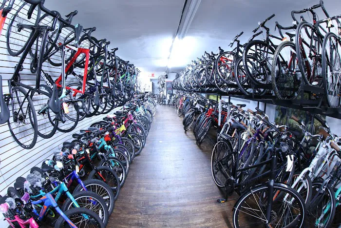 Master Bike Picture 3