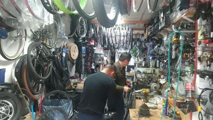 Master Bike Picture 10